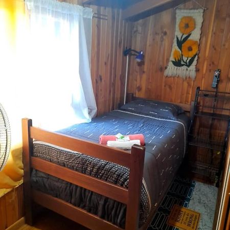 Hostal Newen 比亚里卡 外观 照片