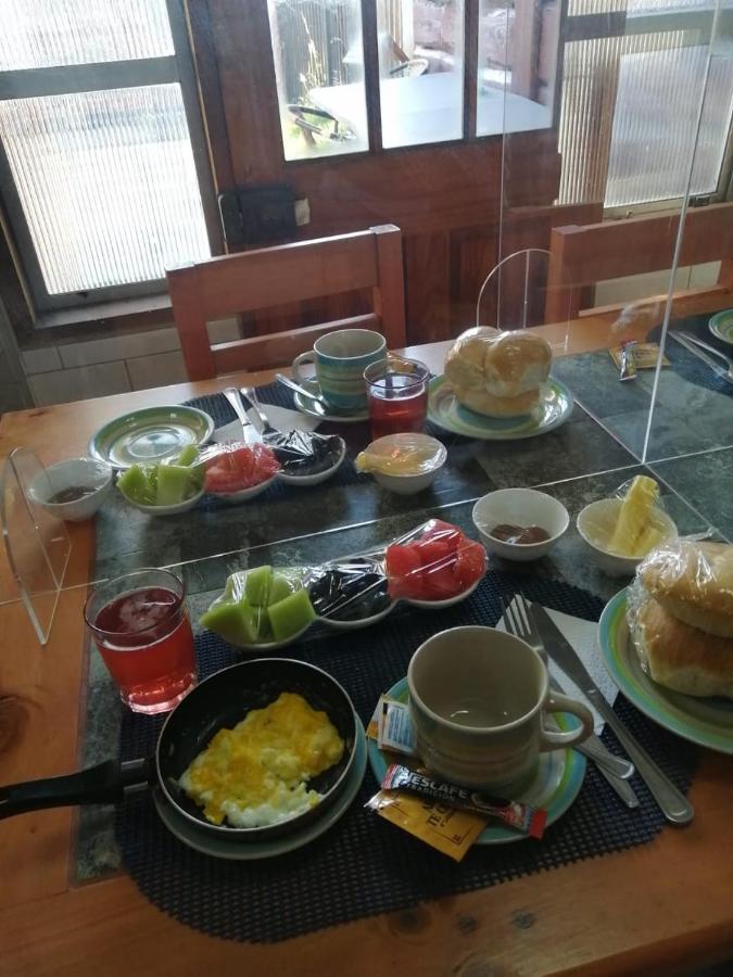 Hostal Newen 比亚里卡 外观 照片