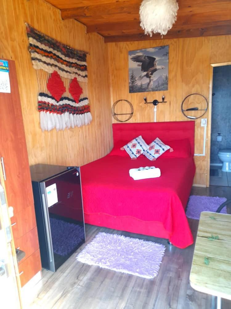 Hostal Newen 比亚里卡 外观 照片