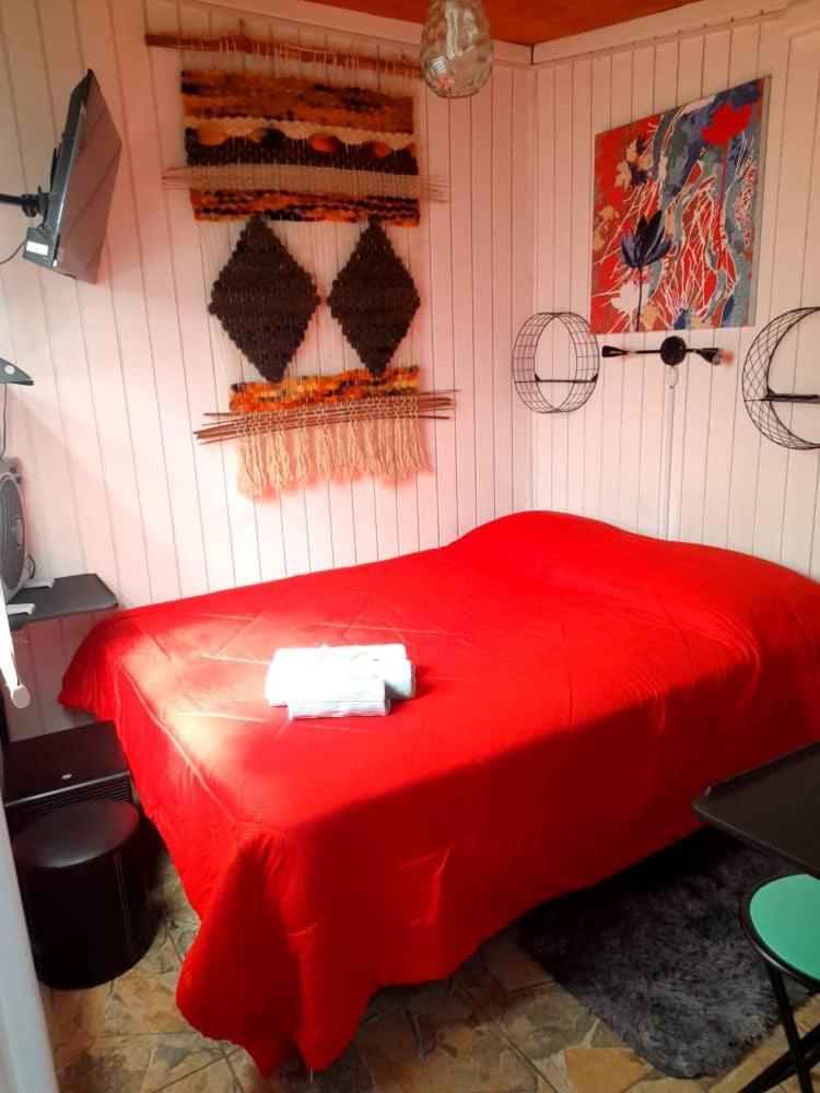 Hostal Newen 比亚里卡 外观 照片