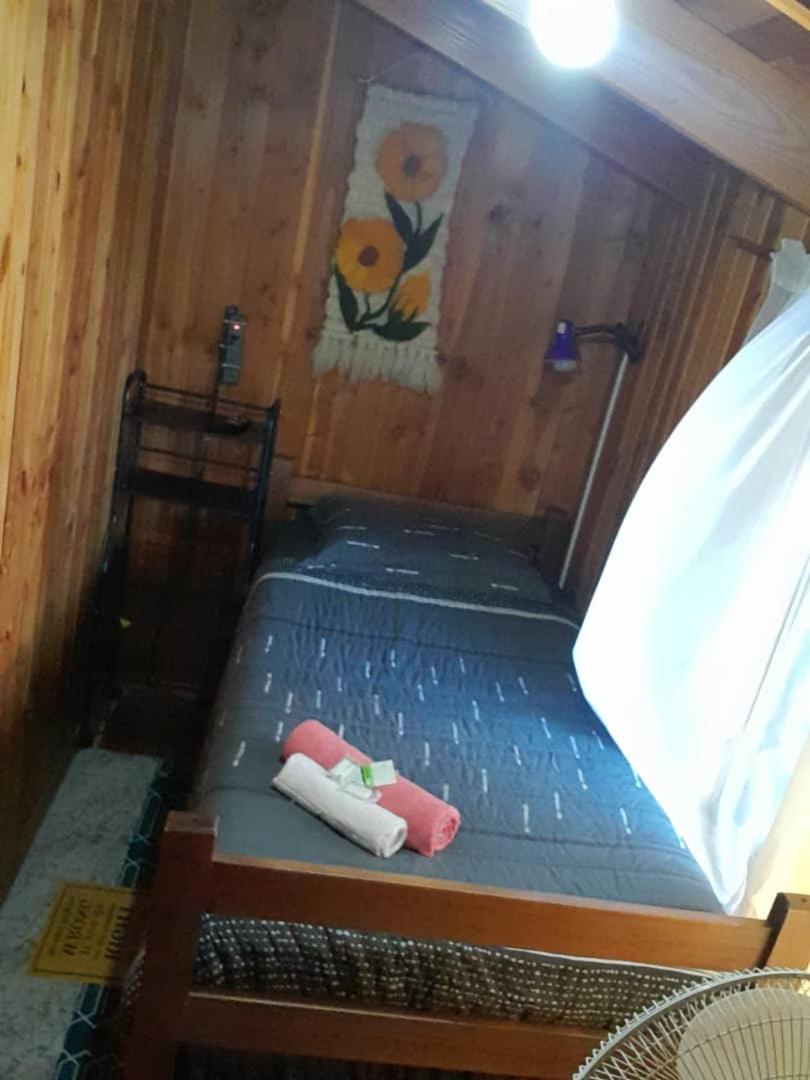 Hostal Newen 比亚里卡 外观 照片